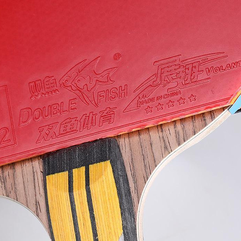 Dubbele Vis 5/6 Ster Tafeltenn - Table Tennis Eleven recensie en prijs