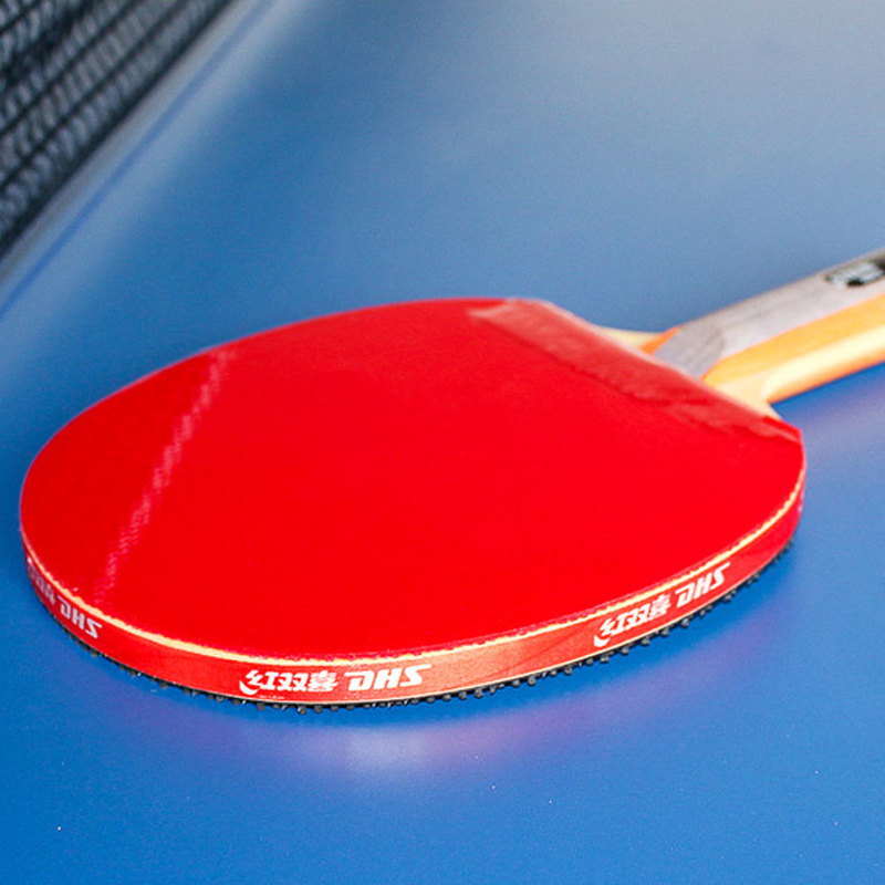 DHS zelfklevende Tafeltennis R - Table Tennis Defense recensie en prijs
