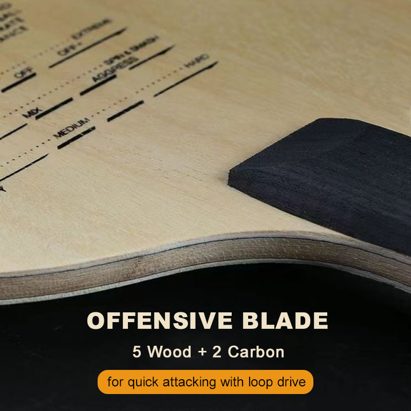 Originele Sanwei T5000 Tafelte - Table Tennis Eleven recensie en prijs