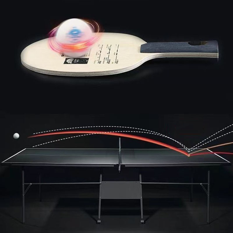 Originele Sanwei T5000 Tafelte - Table Tennis Eleven recensie en prijs